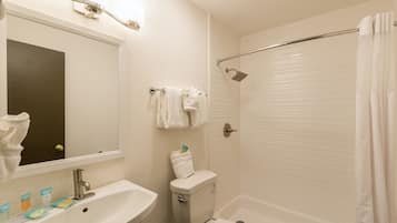Une salle de bain avec un lavabo, des toilettes et une douche.
