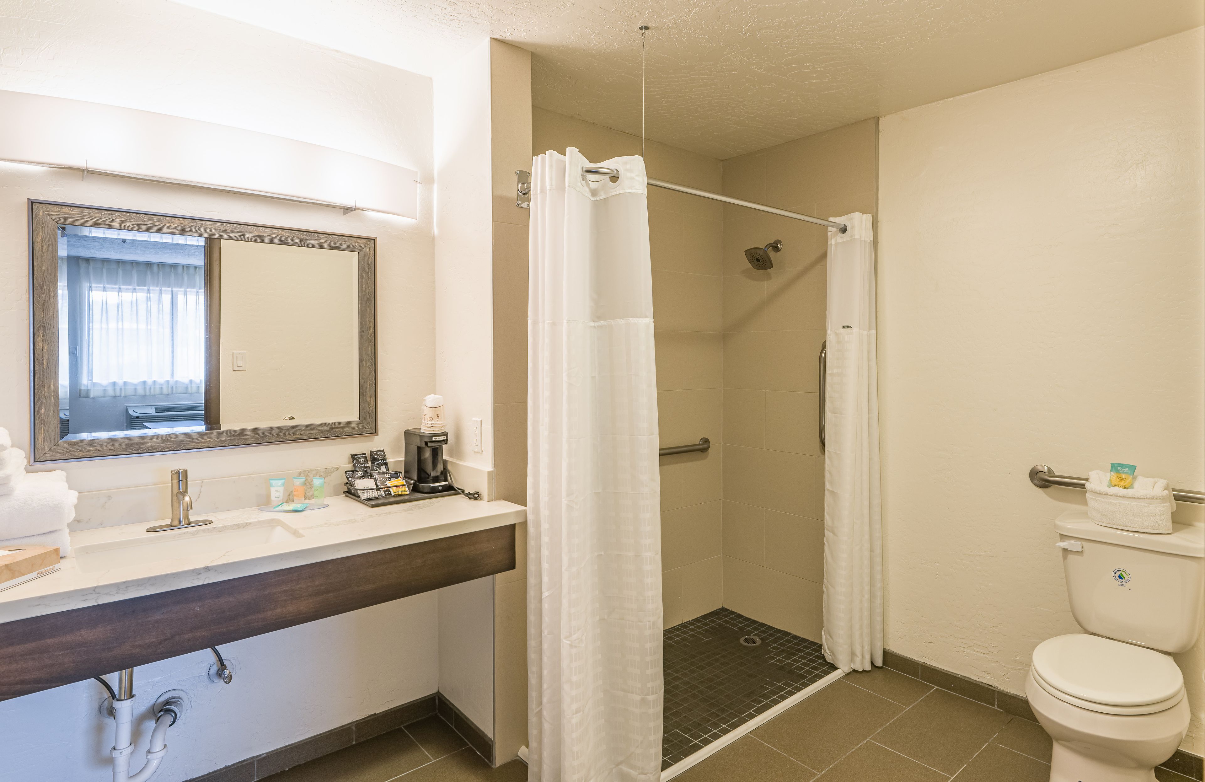 single room, 1 king bed with sofa bed, accessible, private bathroom | bathroom | shower, hydromassage showerhead, designer toiletries, hair dryer