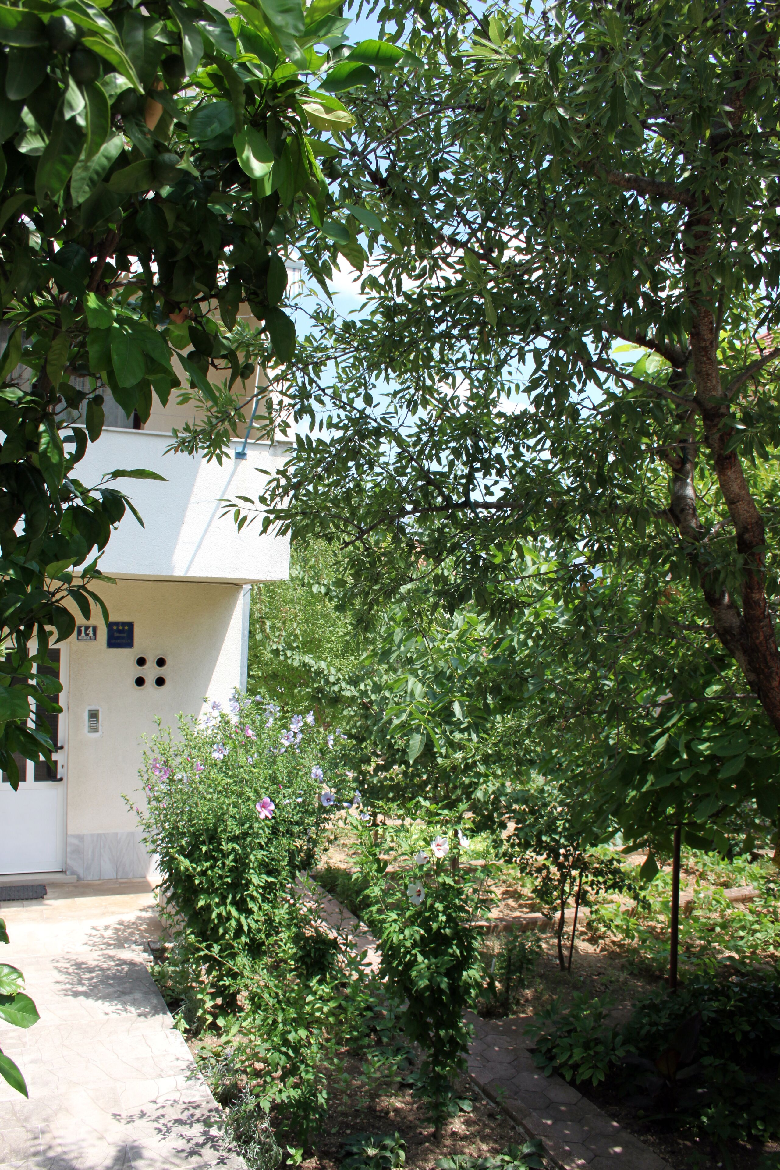 A building with a white facade, a door with a number plate, and a garden area with various plants and a pathway.