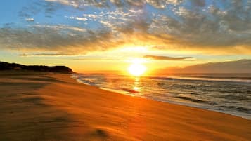 Plage, chaises longues