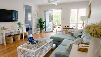 Smart TV, DVD player, books, stereo