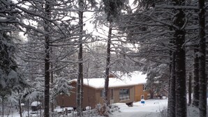 A cabin surrounded by snow-covered trees. - Algonquin Cabin on the Magnetawan river (Emsdale)
