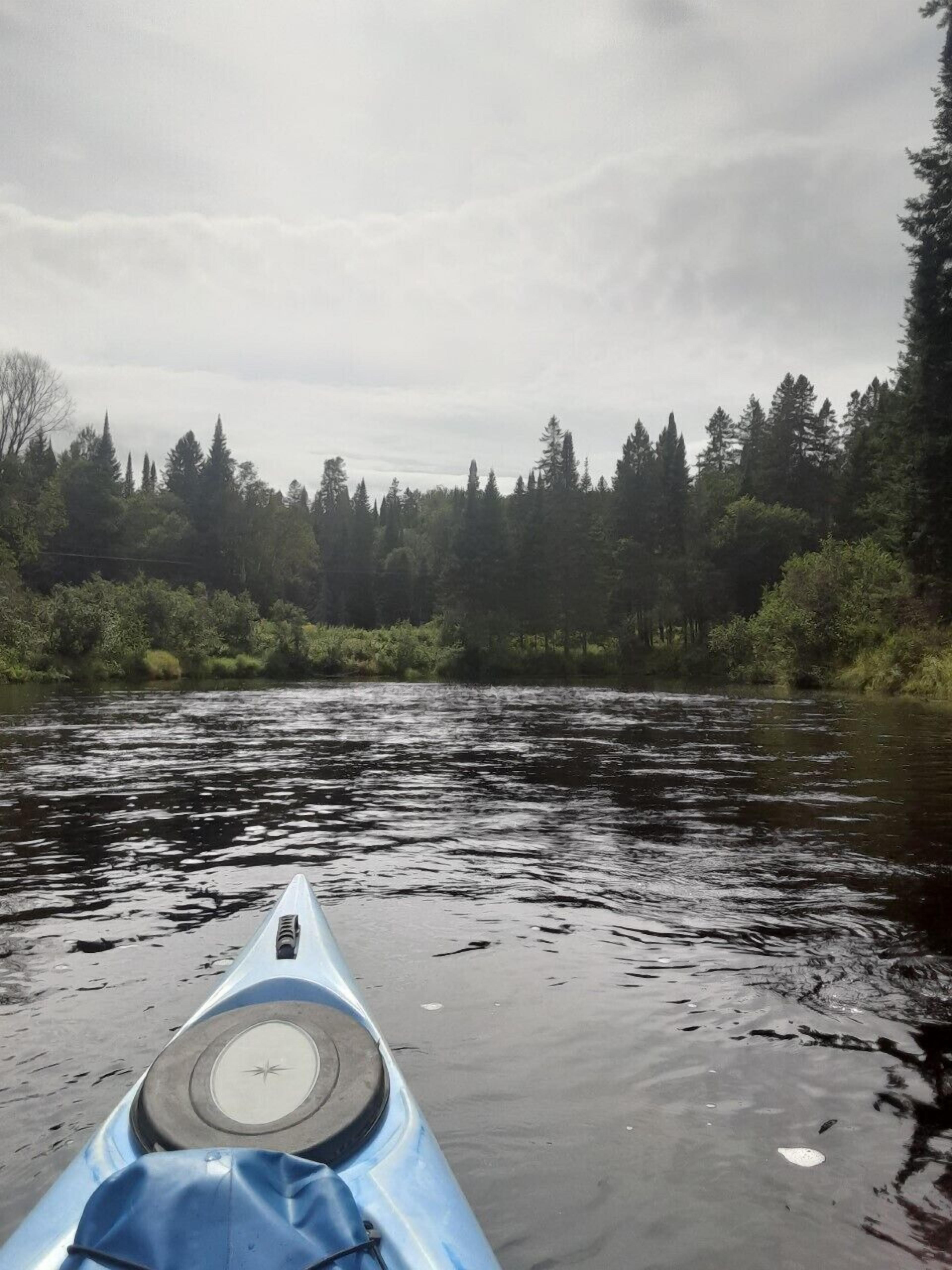 Un kayak sur une rivière, avec une rive bordée d’arbres.