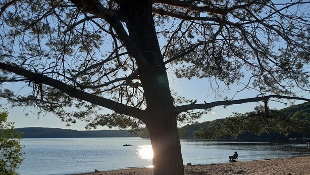 A tree in the foreground with a lake and a person sitting on the shore in the background. - Algonquin Cabin on the Magnetawan river (Emsdale)
