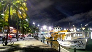 A nighttime marina with boats docked along a waterfront, palm trees lining the path, and a bicycle parked by the side.