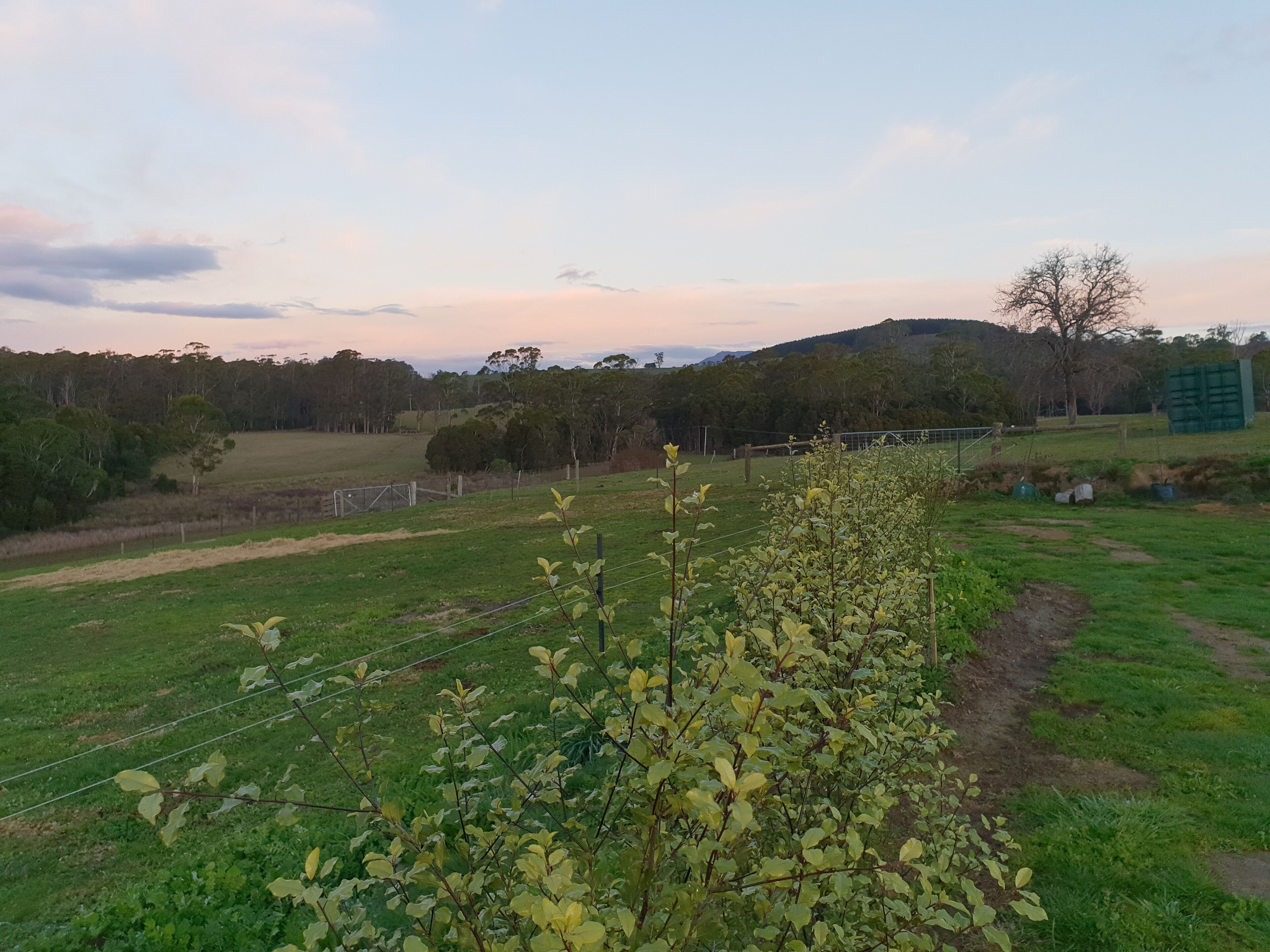 Lockleigh Park - Escape to the Country — image 22