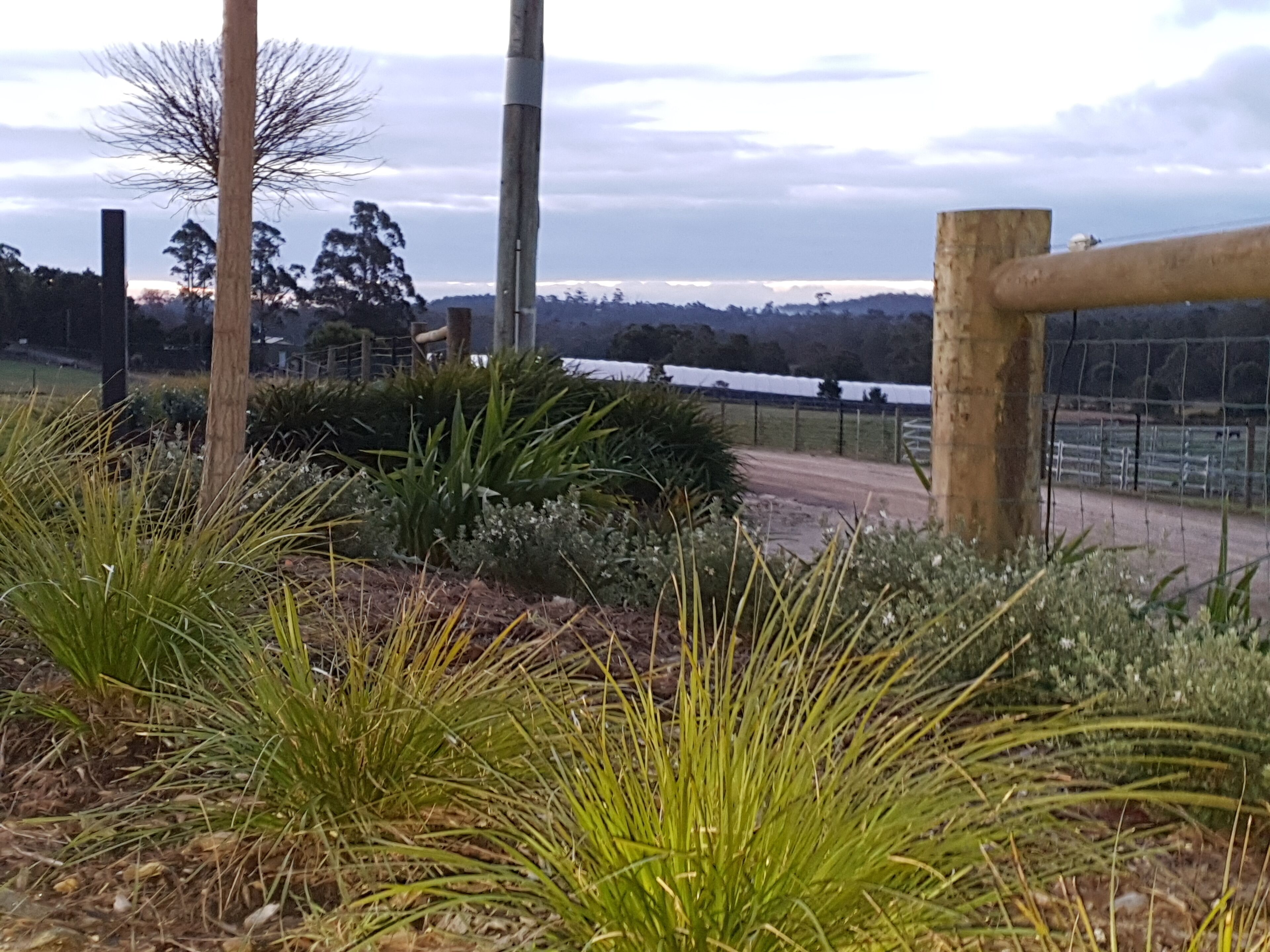 Lockleigh Park - Escape to the Country — image 25