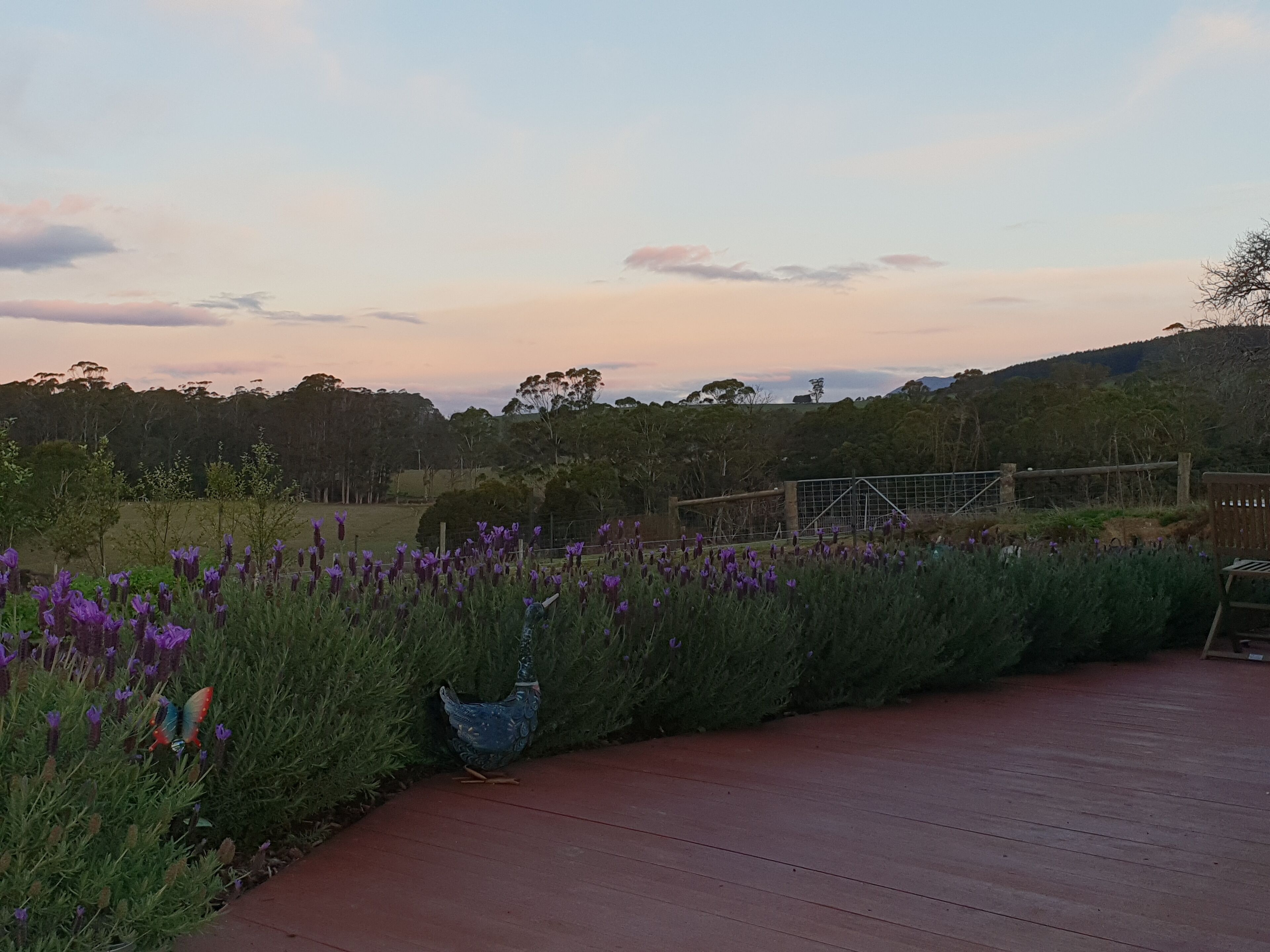 Lockleigh Park - Escape to the Country — image 18