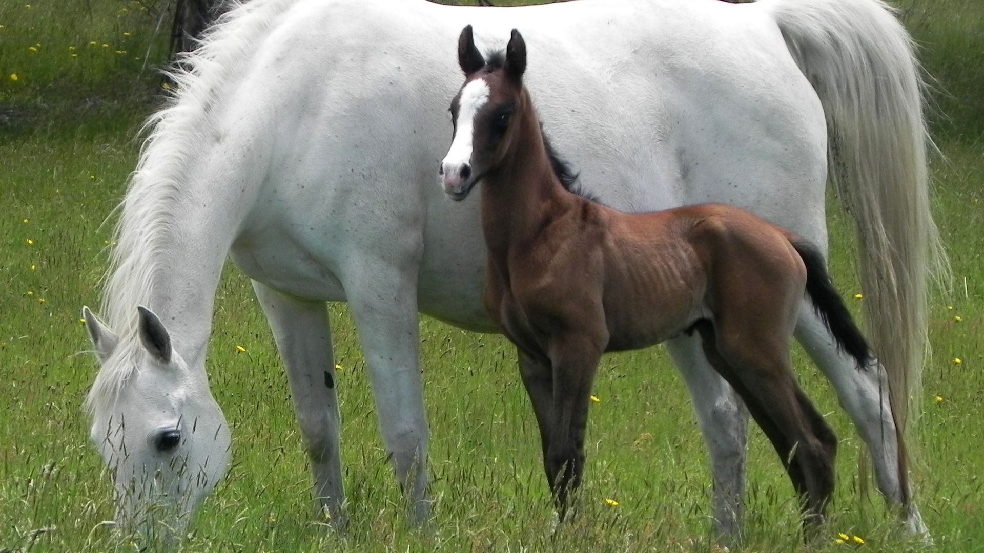 Lockleigh Park - Escape to the Country — image 19