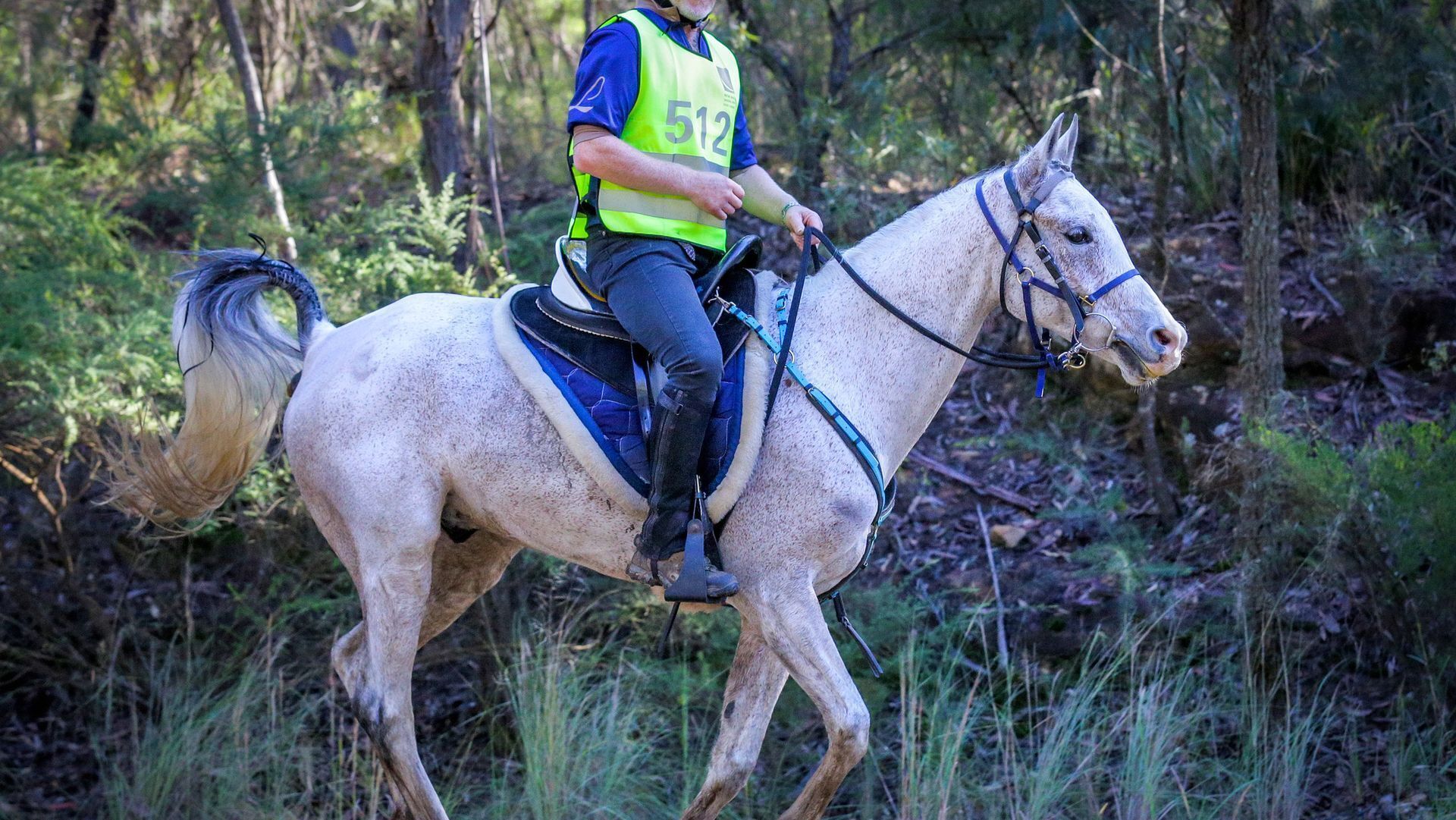 Lockleigh Park - Escape to the Country — image 26