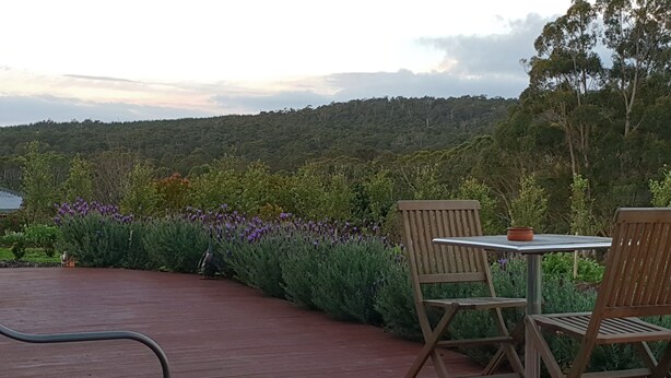 A patio with two wooden chairs and a table, surrounded by lush greenery and purple flowers. - Lockleigh Park - Escape to the Country (Lebrina)