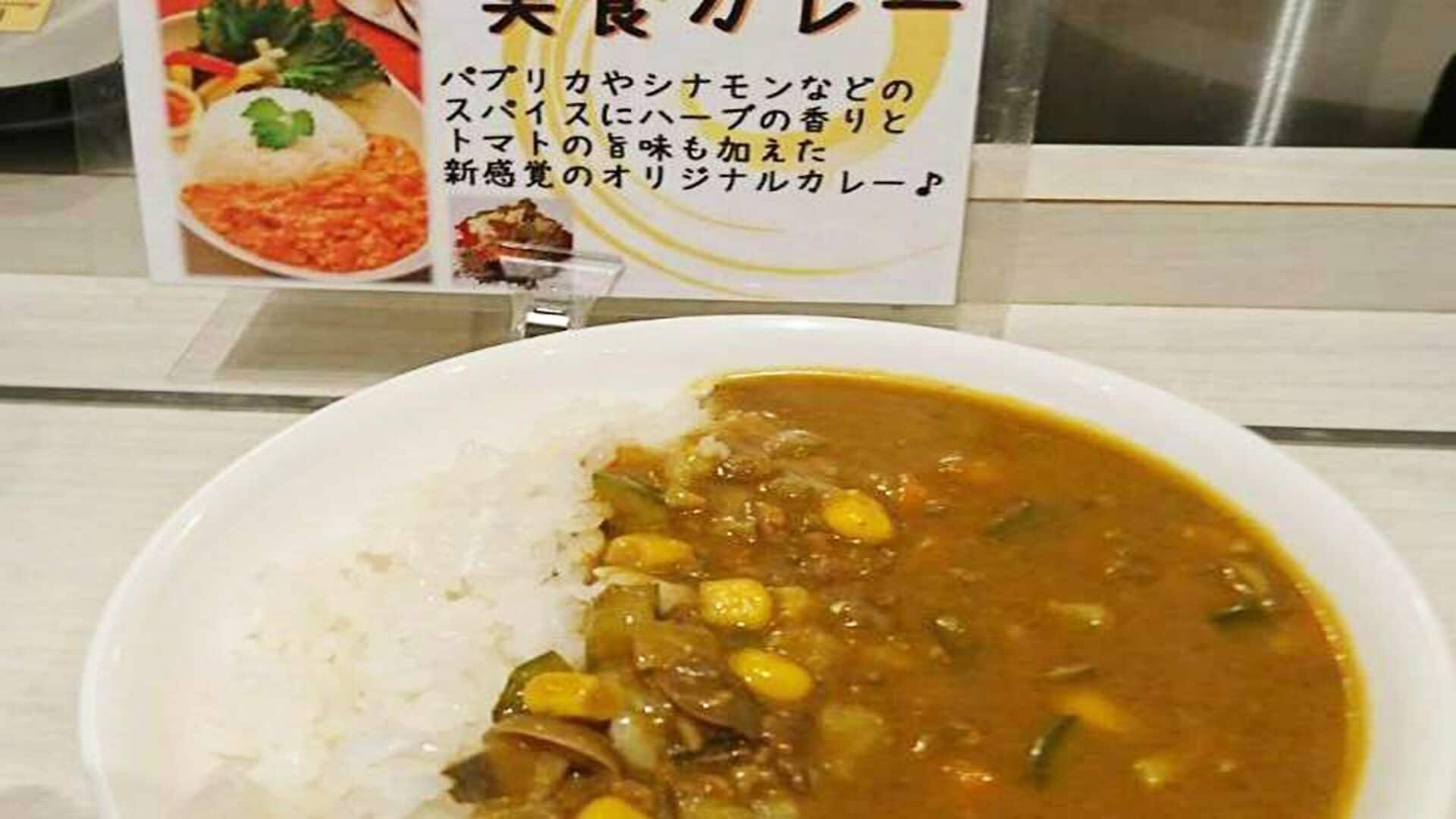 A bowl of curry with rice and vegetables.