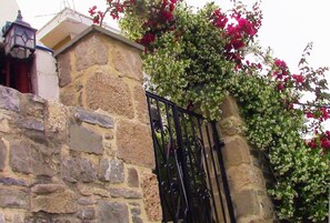 Detalle exterior