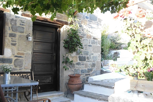 Your doorway under the vines, with steps leading up into terraced garden.