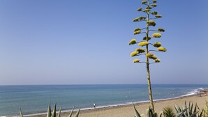 A beach with a tall plant in the foreground and a clear blue sky. - 102 Luxury Serv Apart-Estepona 3 Bed, 28c Heated 20m Pool, Jacuzzi - an Oasis (Estepona)