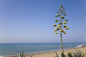 På stranden, solsenger og strandhåndklær