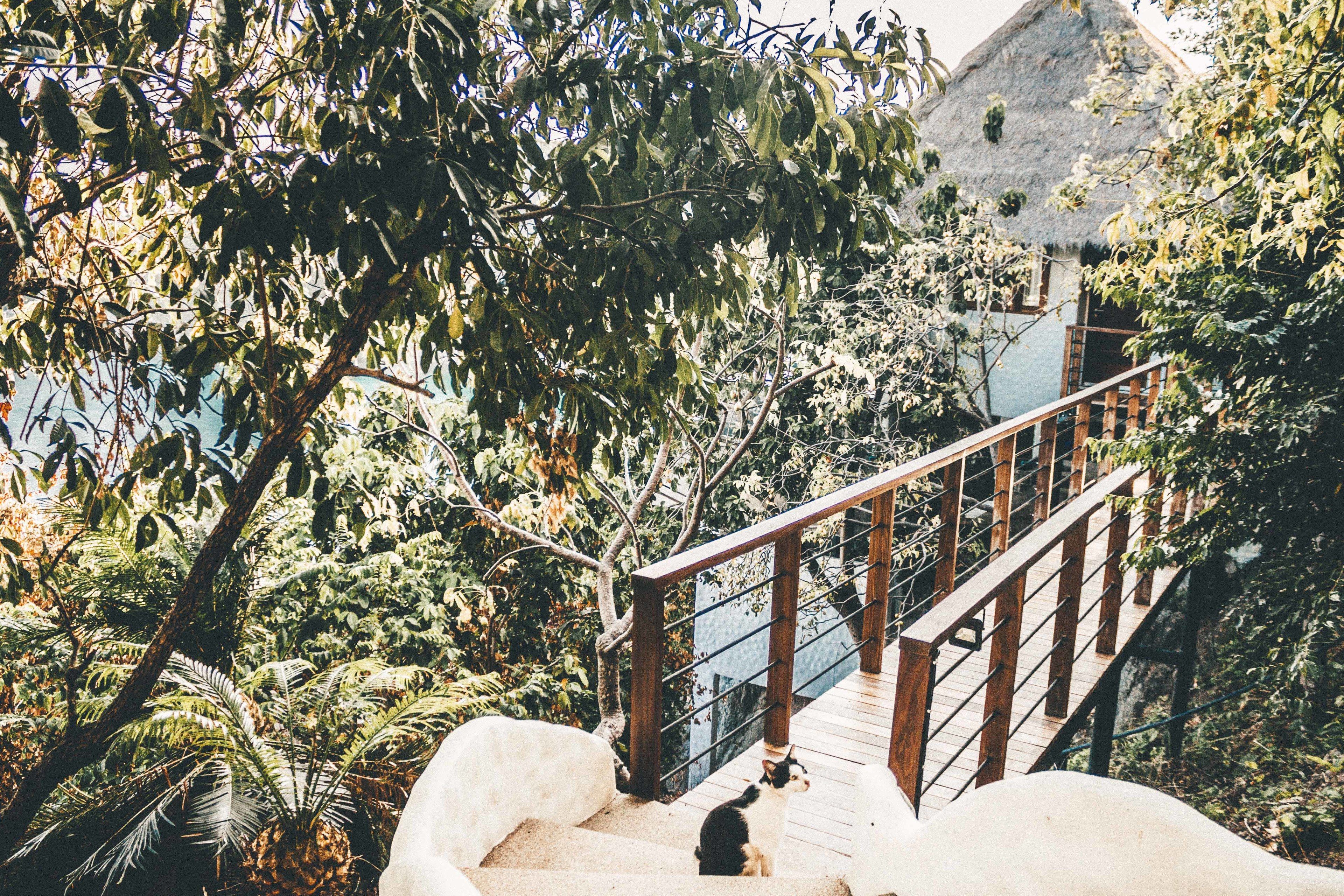 Honeymoon Villa | Terrace/patio