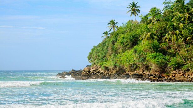 Unclassified image, 1 of 13, button - Conch Villa (Tangalle)