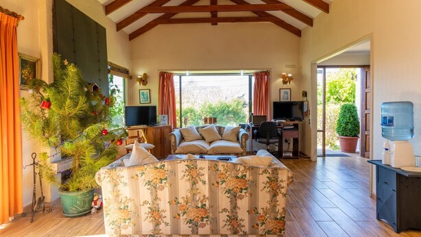 A spacious living room with a large floral sofa, a television, and a desk with a computer. There is a Christmas tree and a water dispenser visible. - B&B Rocas Santo Domingo (Santo Domingo)