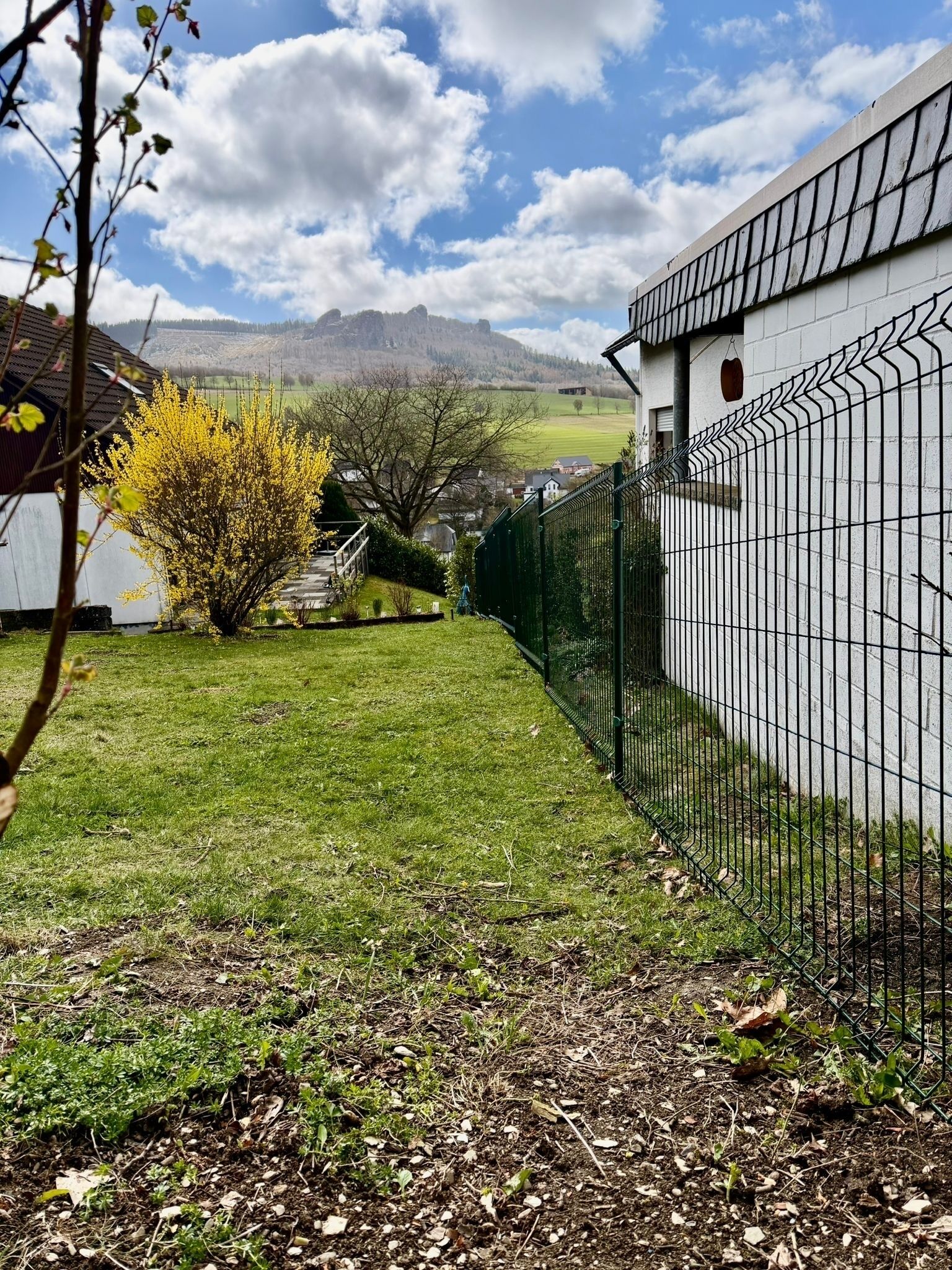 A fenced yard with a grassy area, a yellow flowering tree, and a building with a white exterior.