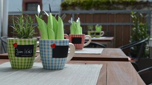 Une table sur laquelle sont posées deux tasses à motifs à carreaux, chacune contenant une plante verte.