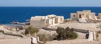 The Oasis Dive Resort