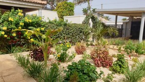 A garden with various plants and a patio area. - Superb villa with pool, 5 minutes from Saly (Ngaparou)