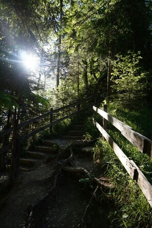 Property grounds - spacious apartment in a quiet location surrounded by beautiful nature (Scheidegg)