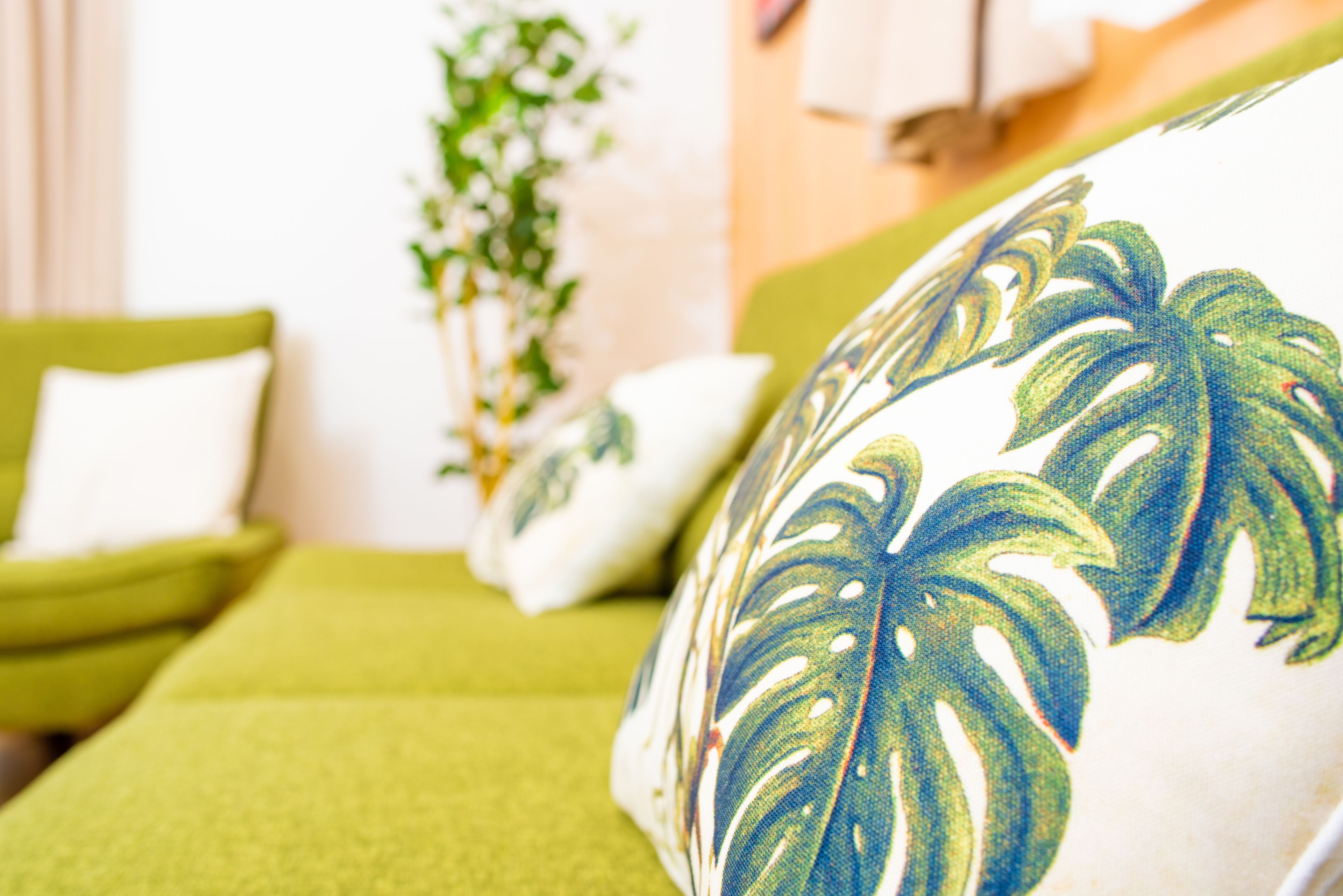 A room with a green sofa, a white pillow with a leaf pattern, and a plant in the background.