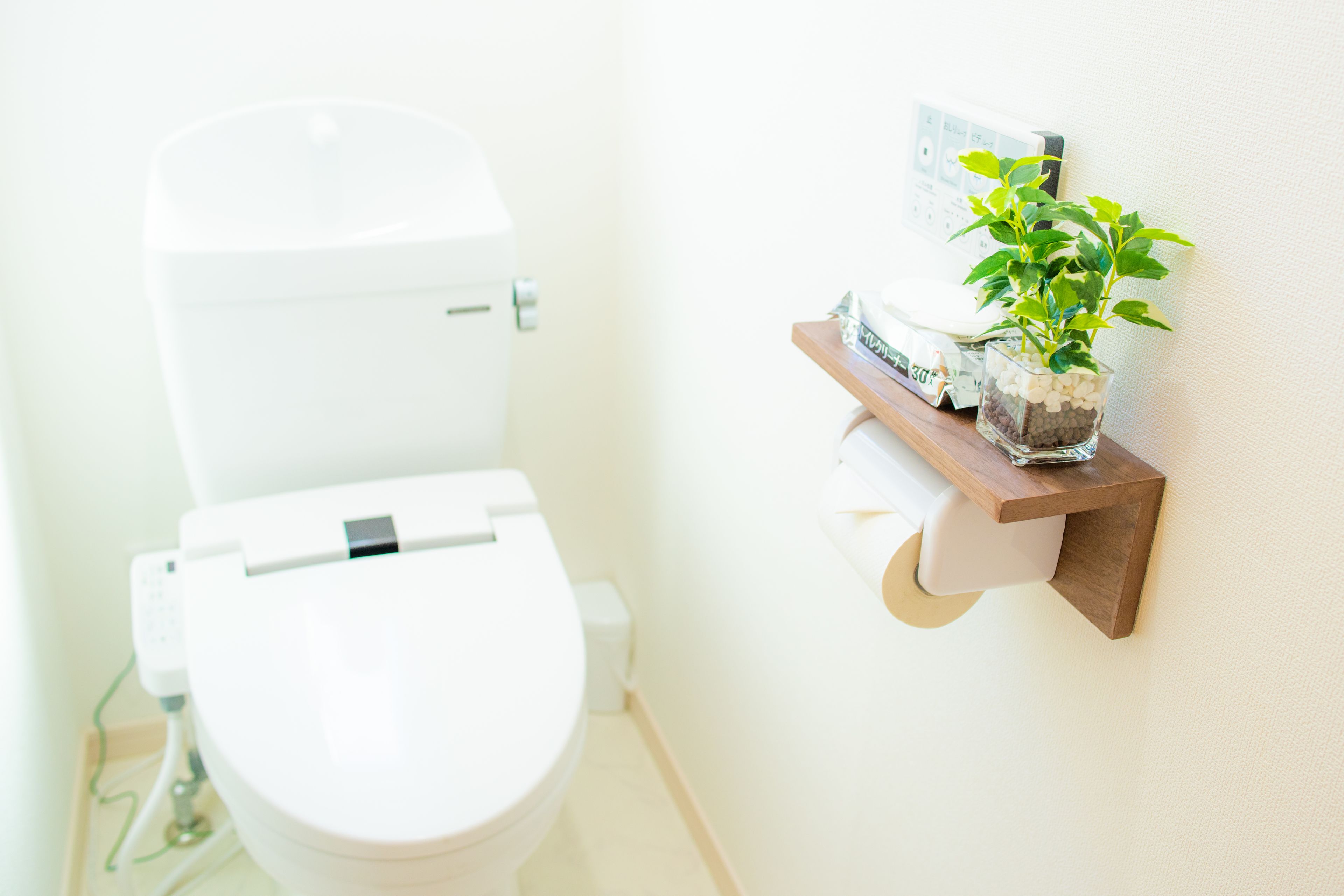 A white toilet with a flush handle, a small shelf with a potted plant, and a framed picture on the wall.