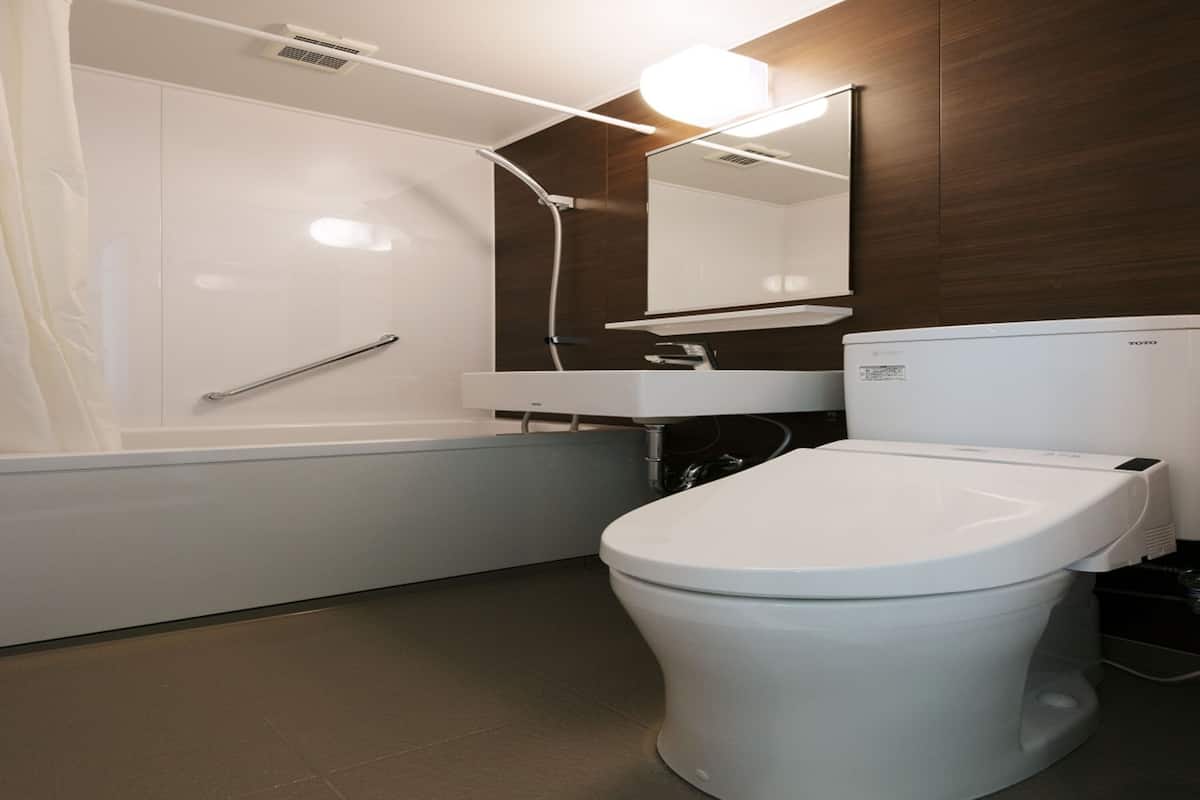 free toiletries, hair dryer, slippers, bidet