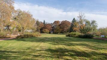 Un parque con césped, bancos y árboles con follaje otoñal.