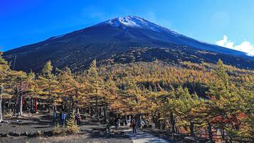 A mountain with a clear sky, surrounded by autumn-colored trees and a path with people walking.