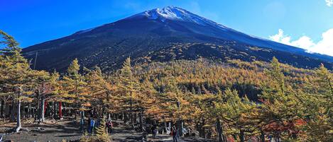 A mountain with a clear sky, surrounded by autumn-colored trees and a path with people walking.