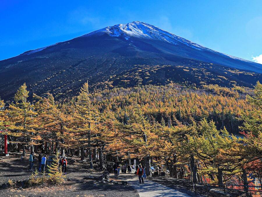 A mountain with a clear sky, surrounded by autumn-colored trees and a path with people walking.