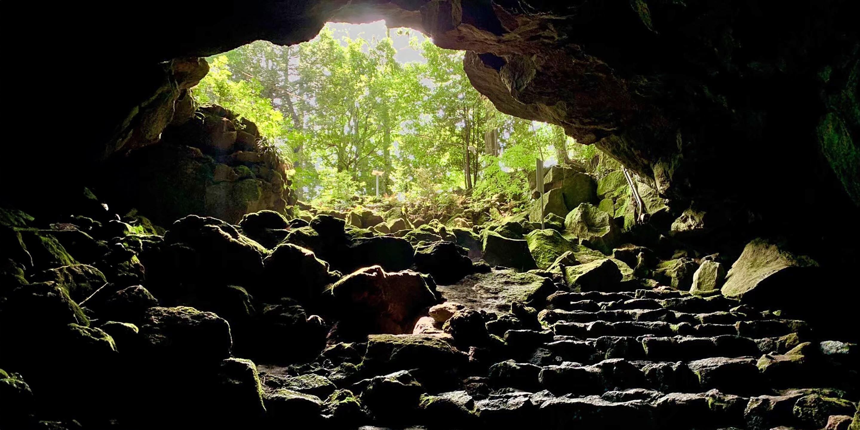 Entrada a una cueva con una formación rocosa natural y vista de un área boscosa.
