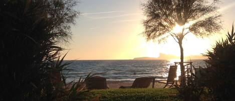 A beach with chairs and a palm tree, overlooking the sea during sunset.