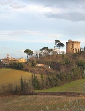 Un castillo en una colina con vistas del paisaje circundante.