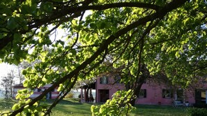A pink house with a covered porch and a grassy yard. - Agriturismo Morattina (Brisighella)