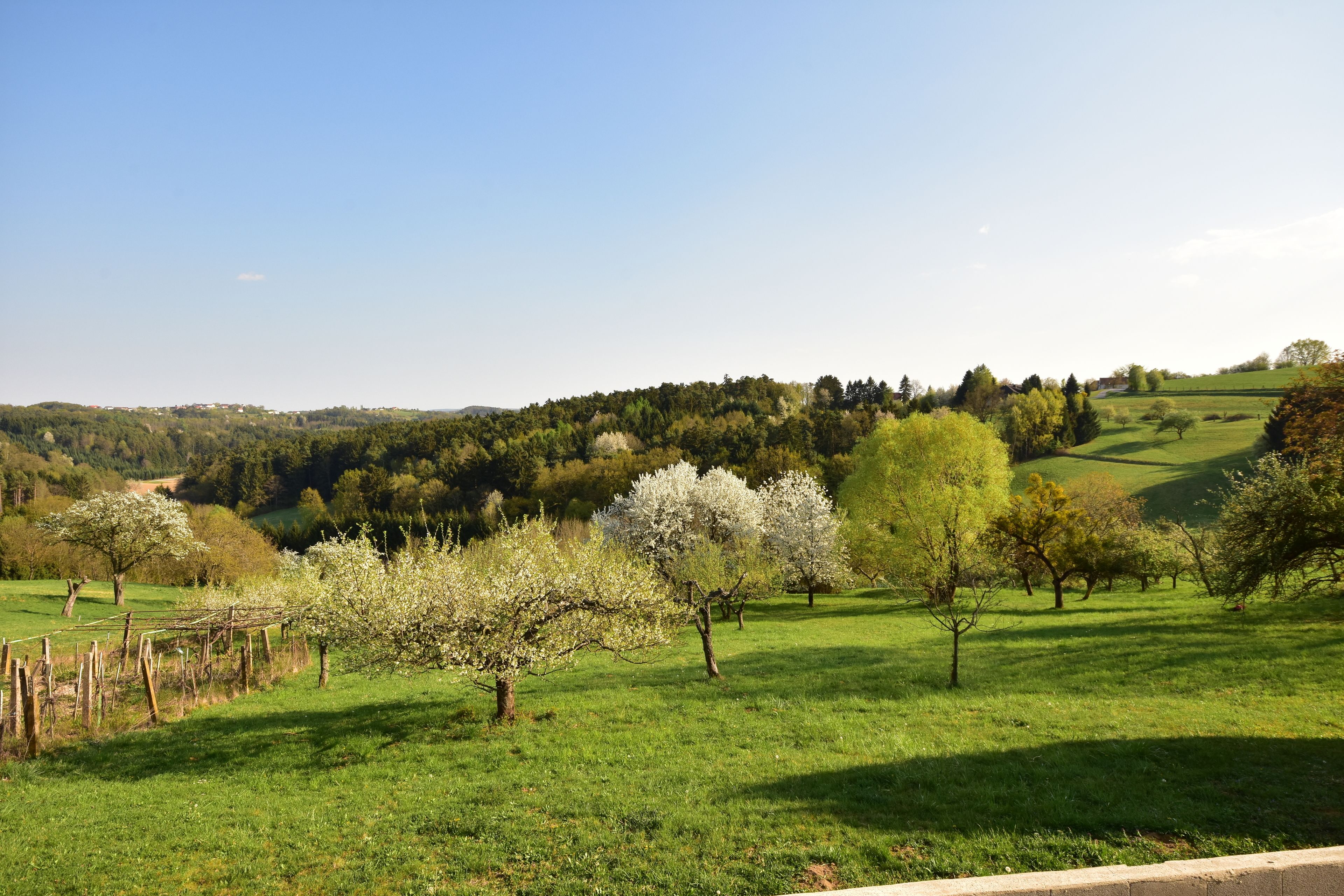 A rural landscape with green fields, trees, and a distant hill.