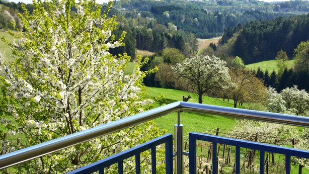 A scenic view from a balcony with a metal railing, overlooking a lush green landscape with trees and a distant hill. - Golf & Therme Sonnenpension Hotel Garni (Burgauberg-Neudauberg)