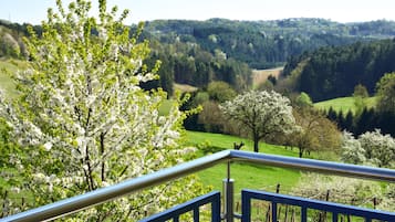 Chambre Double Confort, 1 grand lit et 1 canapé-lit, vue jardin, cÎté jardin | Vue de la chambre