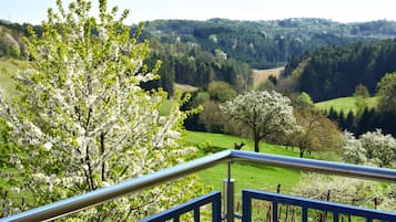 Chambre Double Confort, 1 grand lit et 1 canapé-lit, vue jardin, côté jardin | Vue de la chambre