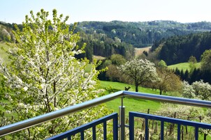 舒适双人房, 1 张大床和 1 张沙发床, 花园景观, 花园 | 客房景观