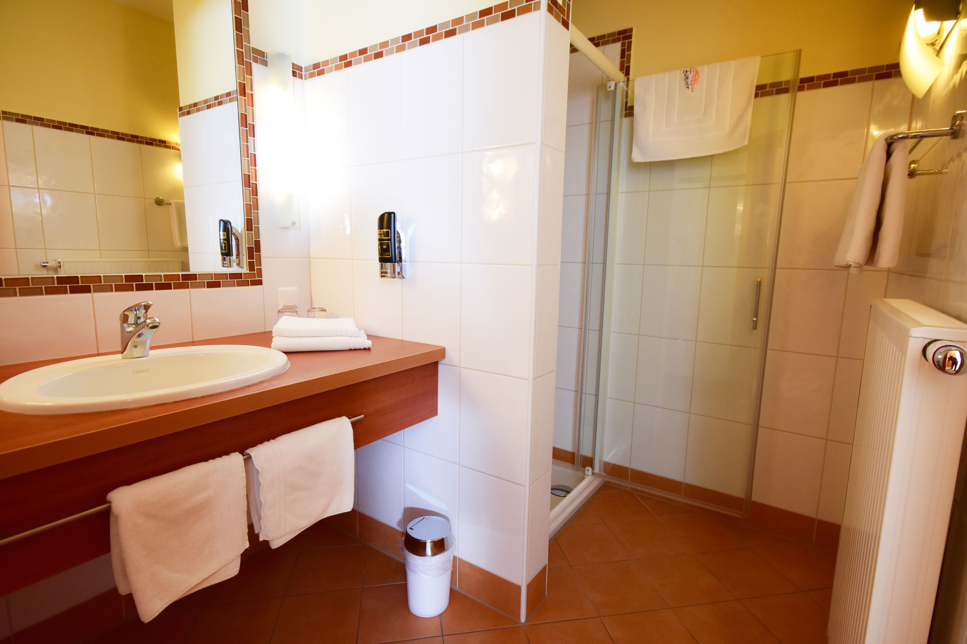 A bathroom with a sink, mirror, and shower.