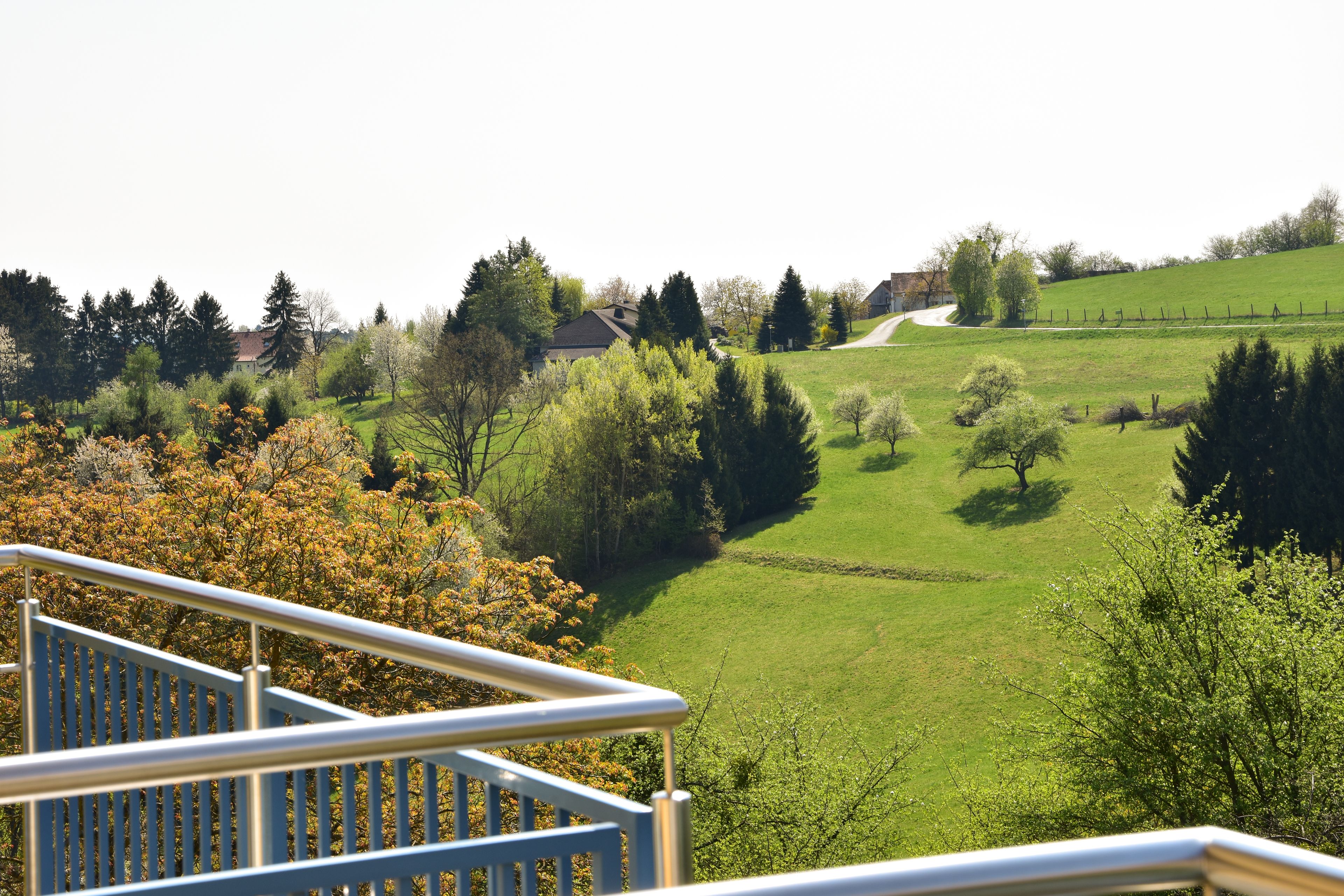 Uitzicht vanaf een balkon over een groen veld met bomen en een huis in de verte.