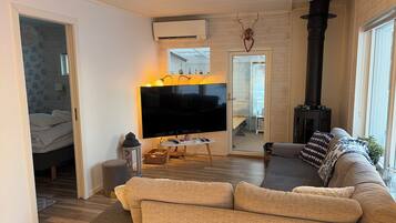 TV, fireplace, books