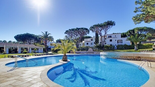 Une piscine au design incurvé, entourée d’une terrasse en pierre et de palmiers.
