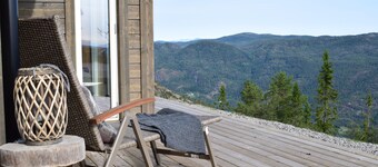 素晴らしい山と湖の景色、スキー、ハイキング、水泳、犬の許可がある木造の家