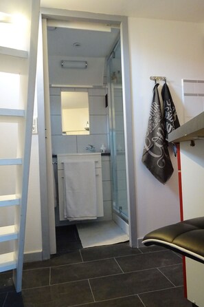 Appartement, balcon, en mezzanine | Salle de bain